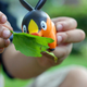 Illustration for article titled Pokémon (OH) Snap!: Hiding in the Tall Grass...(Part II)